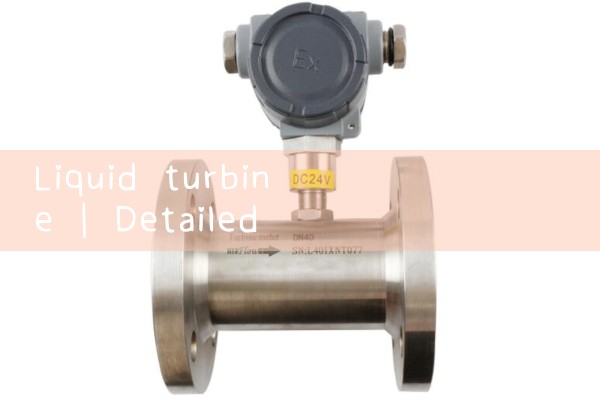 liquid turbine|gas flow meter
